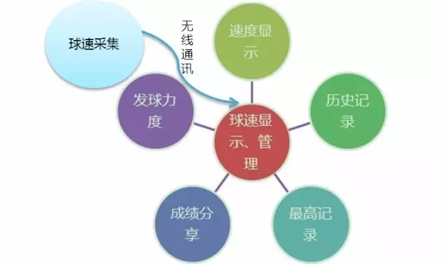 v体育官方网站图片